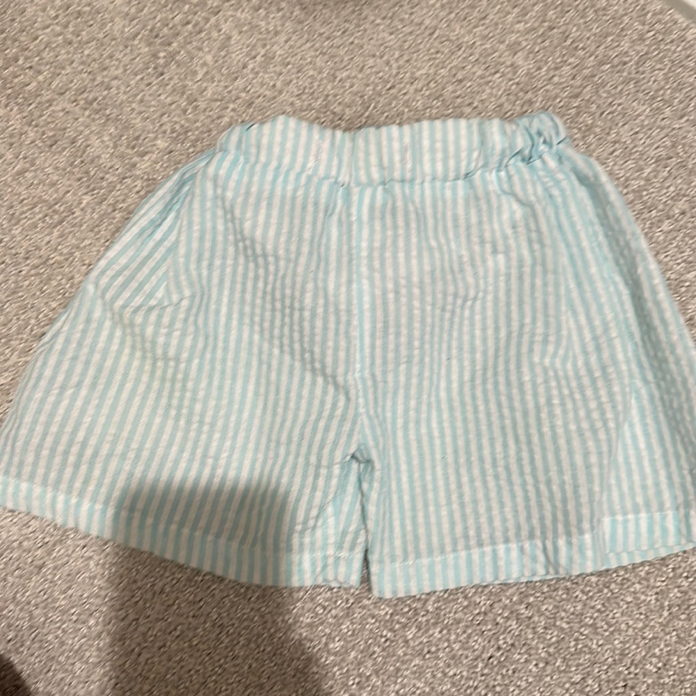 Three Sisters 4T Toddler Boys Swim Trunks (lined)